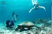 SCHNORCHELSAFARI GILI AIR